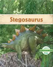 Stegosaurus