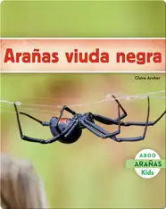 Arañas viuda negra
