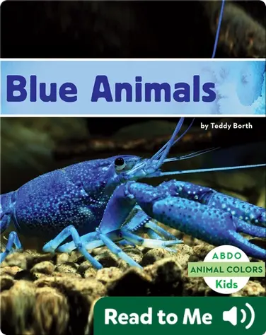 Blue Animals book