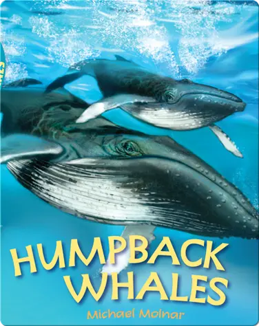 Humpback Whales book