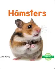 Hámsters