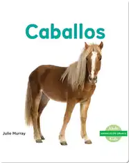 Caballos