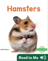 Hamsters