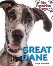 Great Dane
