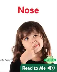 Nose