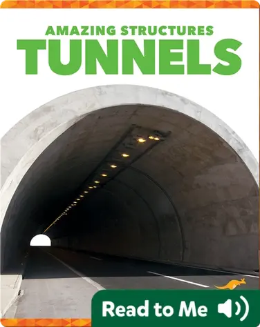 Amazing Structures: Tunnels book