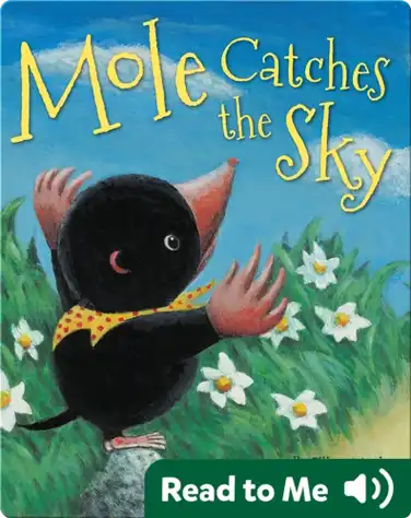 Mole Catches the Sky book