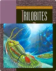 Trilobites