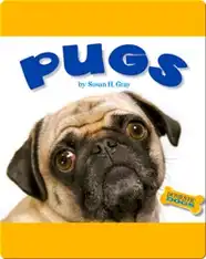 Pugs