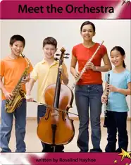 Meet the Orchestra