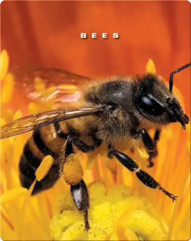 Bees book