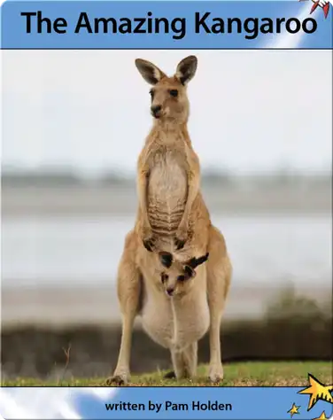 The Amazing Kangaroo book