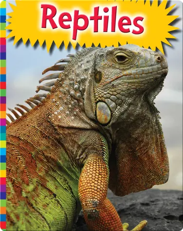 Reptiles book