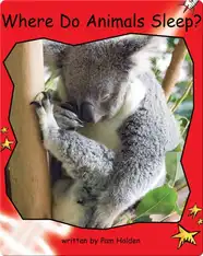 Where Do Animals Sleep?