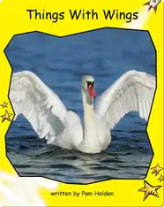 Things with Wings