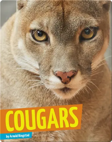 Cougars book