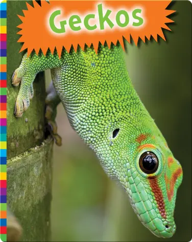 Geckos book