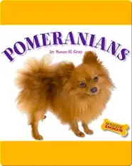 Pomeranians
