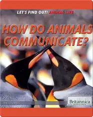 How Do Animals Communicate?