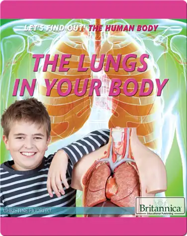 The Lungs in Your Body book