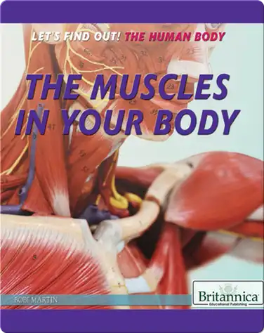 The Muscles in Your Body book