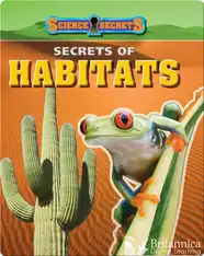 Secrets of Habitats