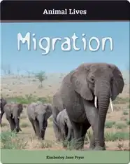 Migration