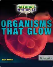 Organisms That Glow