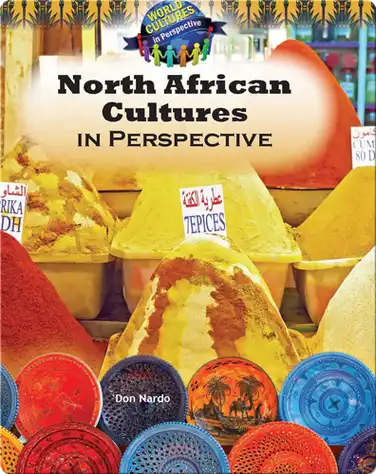 North African Cultures in Perspective book