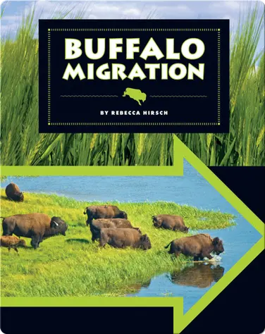Buffalo Migration book