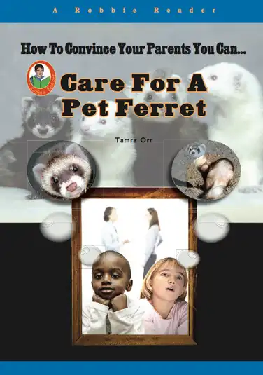 Care for a Pet Ferret book