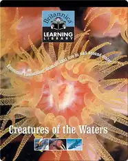 Creatures of the Waters