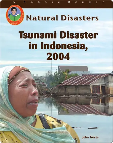 Tsunami Disaster in Indonesia, 2004 book