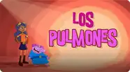 Los pulmones y el aparato respiratorio