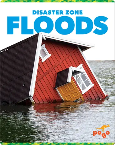 Disaster Zone: Floods book