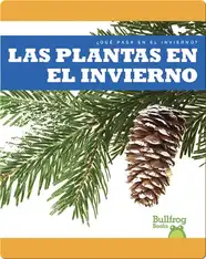 Las Plantas en el Invierno (¿Qué Pasa en el Invierno?)