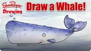 How to Draw a Whale
