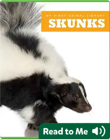 My First Animal Library: Skunks book