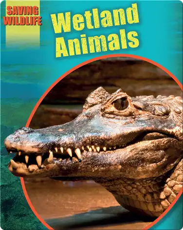 Wetland Animals book