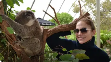 Why is this Koala Australia’s Celebrity Magnet? book