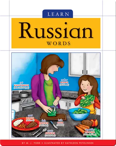Learn Russian Words book