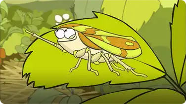 I'm a Froghopper book