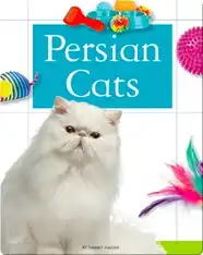 Persian Cats