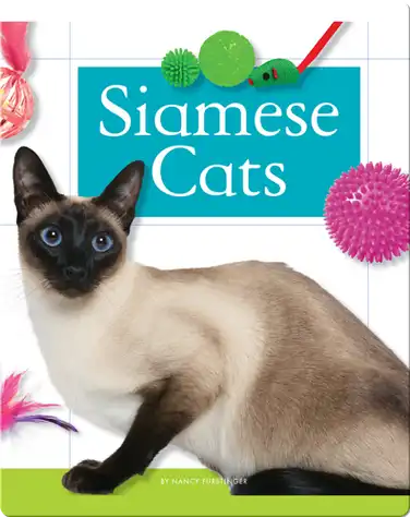 Siamese Cats book