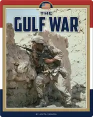 The Gulf War