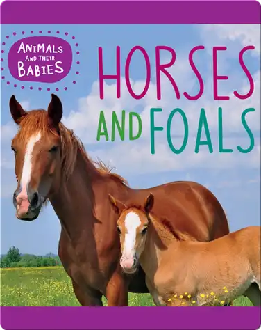 Horses and Foals book