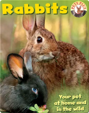 Rabbits book