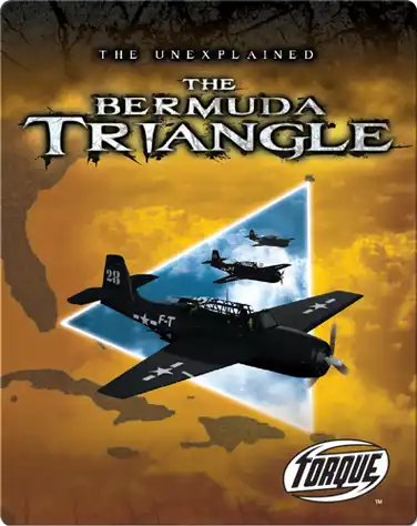 The Bermuda Triangle book