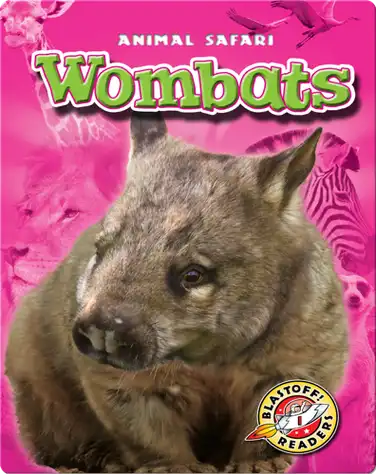 Wombats book