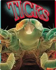Ticks